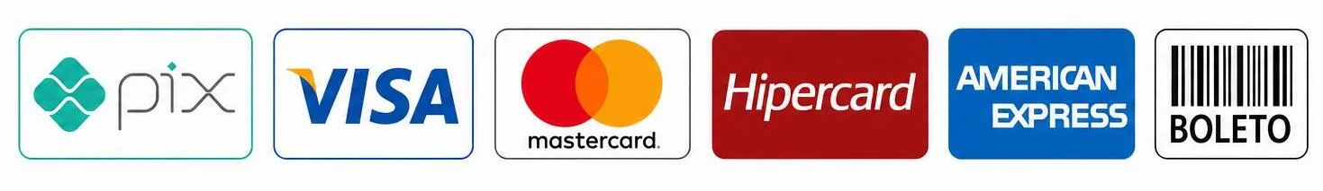 Formas de pagamento aceitas: Pix, Visa, Mastercard, Hipercard, American Express e Boleto